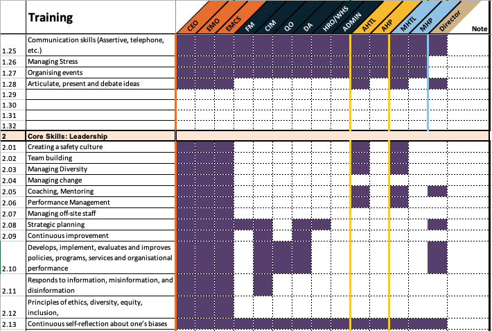 Capability assessment: skills, gaps & training priorities